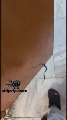 Self Adhesive Door Window Sealing Strip